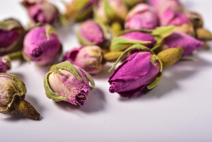 玫瑰花苞