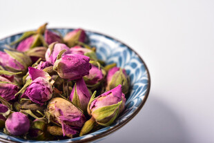 玫瑰花蕾