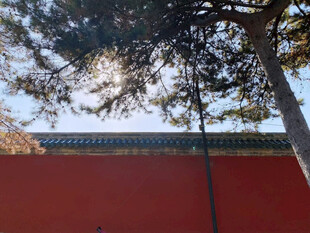 红墙 建筑