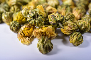 干菊花