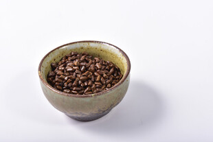 决明子 