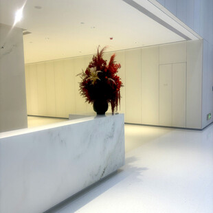 现代简约风格大厅花卉装饰