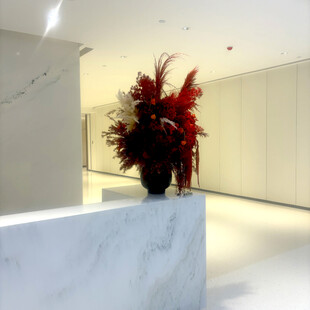 现代大厅中的红植装饰