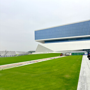 现代建筑旁的开阔绿草地