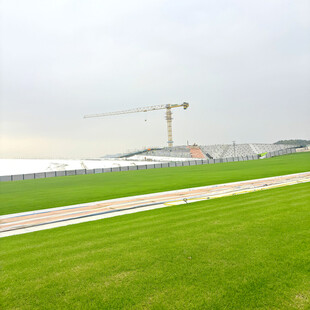 户外绿地与远处建筑起重机