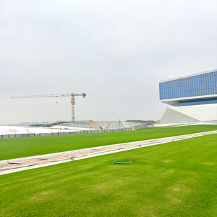 现代建筑旁的翠绿草坪