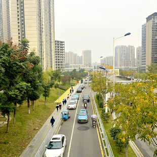 城市道路上的车辆与行人