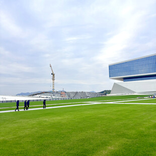 现代建筑旁的翠绿草坪