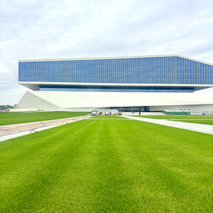 现代建筑前的翠绿草坪