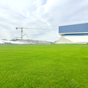 绿茵场地与现代建筑景观