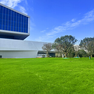 现代建筑旁的翠绿草坪