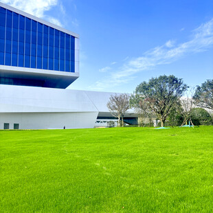 现代建筑旁的翠绿草坪