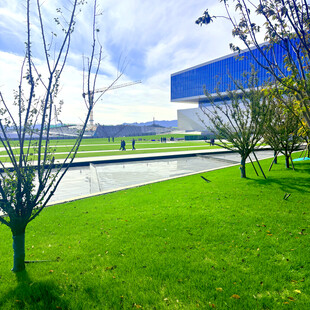 户外绿地旁的现代建筑景观