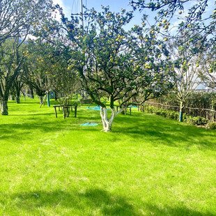 春日公园绿意盎然美景