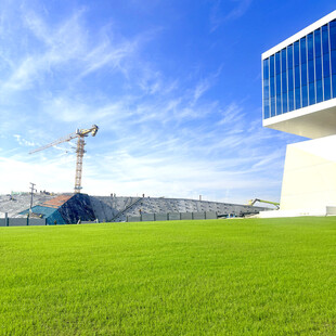 城市绿地旁的建筑施工场景