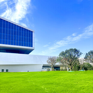 现代建筑旁的翠绿草坪