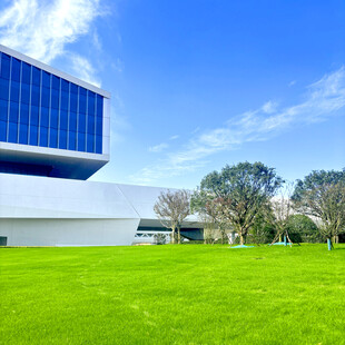 现代建筑旁的翠绿草坪