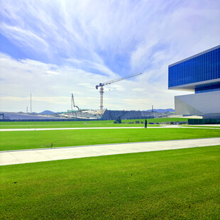 现代建筑旁的开阔绿地景观