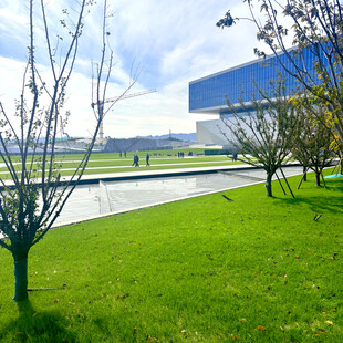 现代建筑旁的绿意草坪