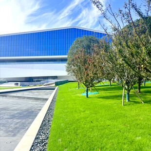 现代建筑旁的翠绿草坪景观