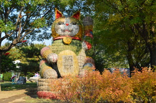 公园风景  