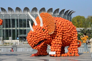公园风景 