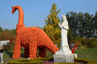 公园风景 