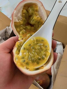 百香果