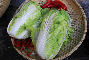 白菜与辣椒