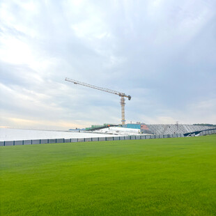 草地旁的建筑起重机