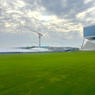 绿茵场地与远处建筑景观