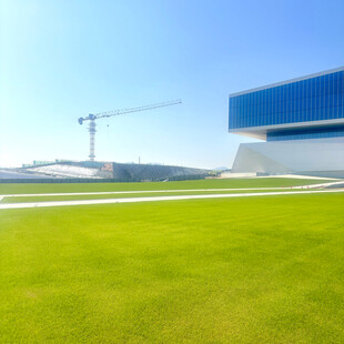 现代建筑旁的翠绿草坪