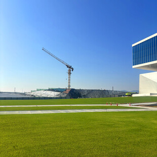 现代建筑旁的户外绿地场景