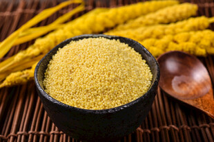 小米 谷物