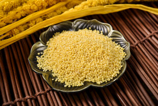 小米 谷物
