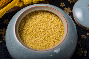 小米 谷物