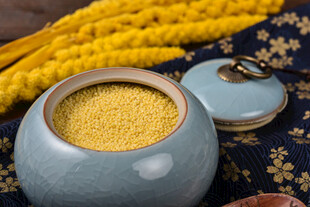 小米 谷物