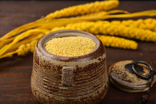 小米 谷物