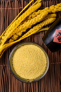 小米 谷物