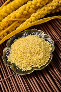 小米 谷物