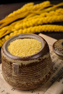 小米 谷物