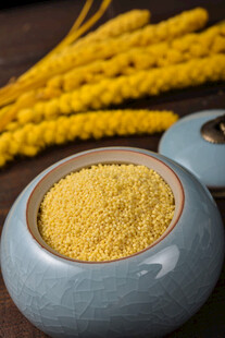 小米 谷物