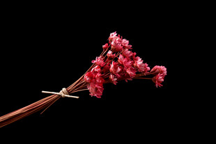 红色花束