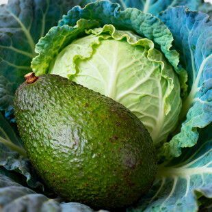 牛油果与卷心菜的新鲜组合