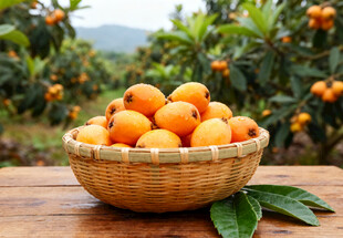 木桌上竹篮里的枇杷