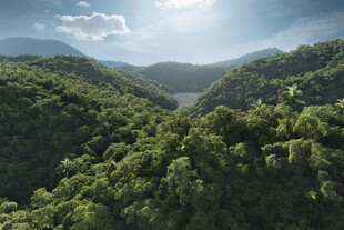 青山绿水间的壮美自然景观