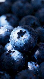 饱满多汁的新鲜蓝莓