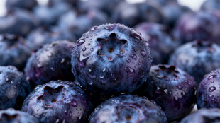 新鲜饱满的蓝莓