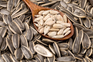 木勺盛着饱满的葵花籽