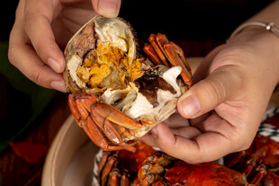 双手掰开饱满的大闸蟹
